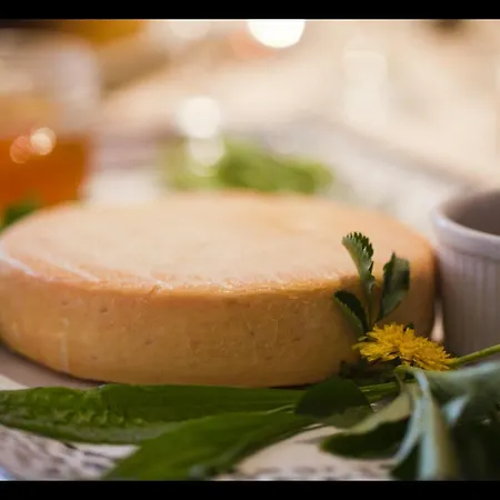 The Originals Boutique, La Ferme Du Pape, 埃圭斯海姆